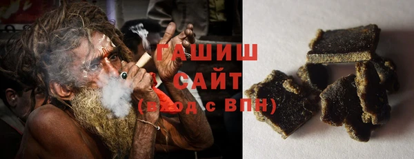 соль ск Новозыбков