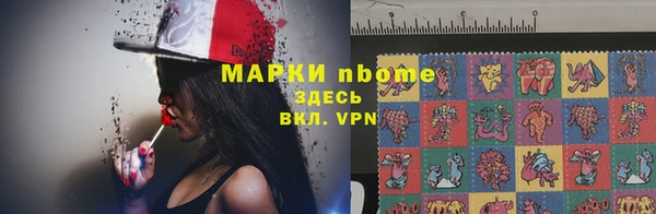 соль ск Новозыбков