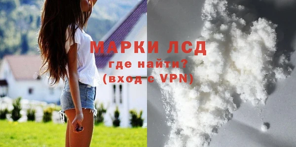соль ск Новозыбков