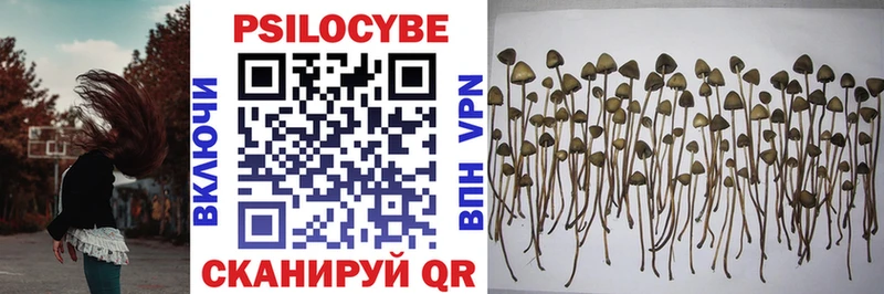 Галлюциногенные грибы MAGIC MUSHROOMS  ссылка на мегу ONION  Уссурийск 